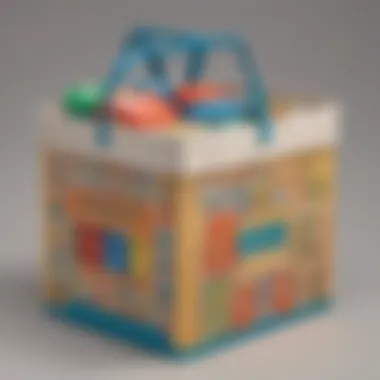 Magnificent Exploring Family Dollar Totes with Lids