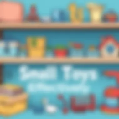 Notable A Guide to Organizing Small Toys Effectively Notable A Guide to Organizing Small Toys Effectively