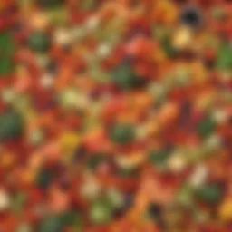 A variety of fresh fruits and vegetables arranged appealingly