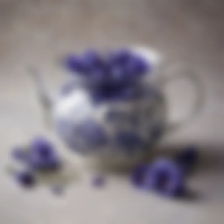 Blue butterfly pea flowers in a teapot