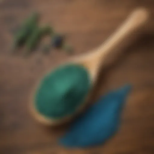 Blue spirulina powder on a wooden spoon