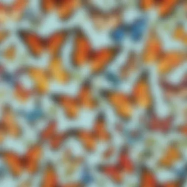 Diverse Styles of Butterfly Illustrations Colorful butterfly illustrations showcasing various styles