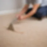 Carpet Stain Removal - Natural Solution