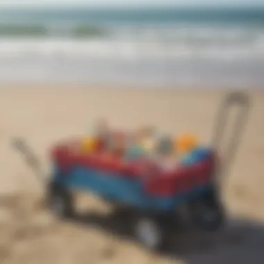 Collapsible wagon at the beach