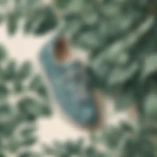 Refreshing eucalyptus leaves with shoes