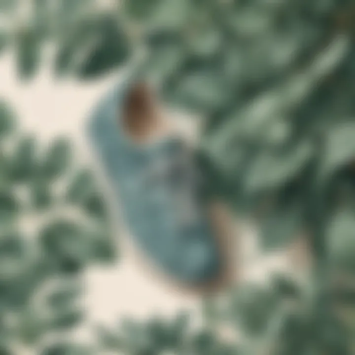 Refreshing eucalyptus leaves with shoes
