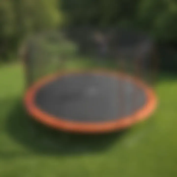 Trampoline demonstrating exceptional performance and user satisfaction