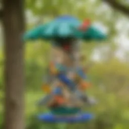 Creative recycled bird feeder made from plastic bottles