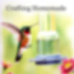 Crafting Homemade Hummingbird Feed: A Comprehensive Guide Introduction