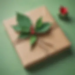 Creative DIY birthday gift wrapped with eco-friendly materials