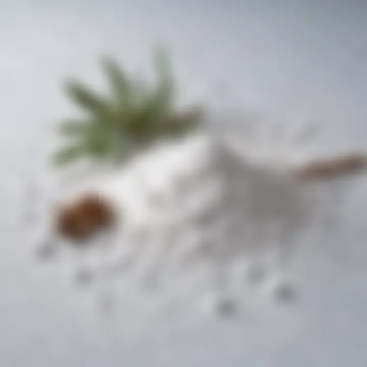 Snow powder ingredient showcased