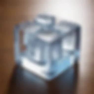 Chill Ice Cube Mischief Witty Prank with Ice Cubes