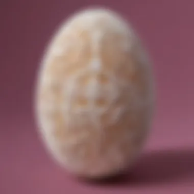 Intricate lace pattern decoration on hard boiled egg