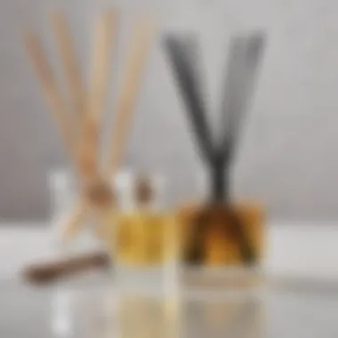 Decorative reed diffuser with sticks and scented oil