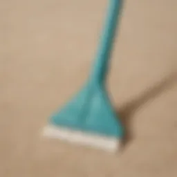 Natural Cleaning Solution for Carpets