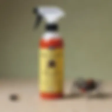 Homemade Dog-Safe Repellent Spray DIY spider repellent spray with dog-safe ingredients