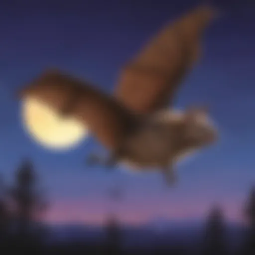 Echolocation expert bat flying at dusk
