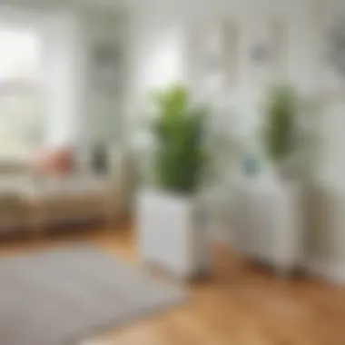 Incorporating an Eco-Friendly Air Purifier Eco-Friendly Air Purifier