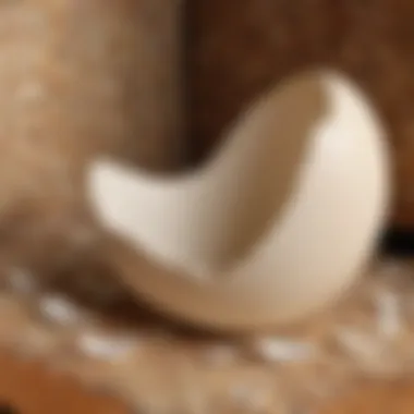 Eggshell Masterpiece Eggshell masterpiece