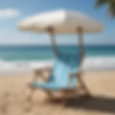 Elegant Beach Chair Design Elegant Beach Chair with Canopy Design