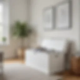 Elegant white toy chest in modern living room