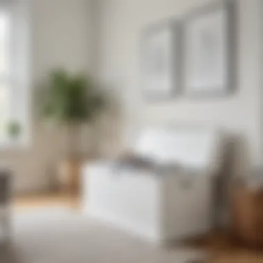 Elegant white toy chest in modern living room
