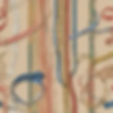 A close-up of decorative embellishments like ribbons and stickers