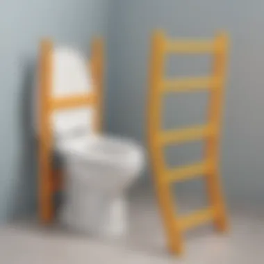 Safety features of potty toilet seat with ladder