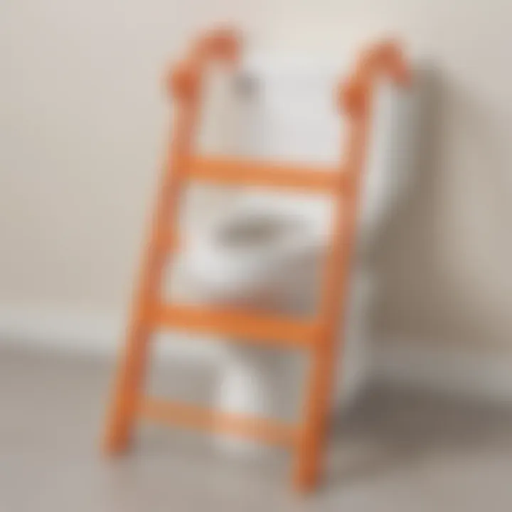 Child-Friendly Potty Ladder Option