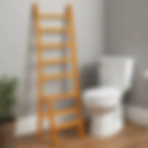 Innovative Potty Ladder Design