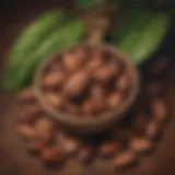 Mystical Cacao Beans