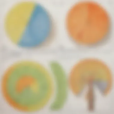 Assessment tools incorporated within fraction worksheets