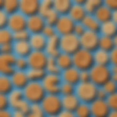 Creative cookie art depicting mathematical symbols