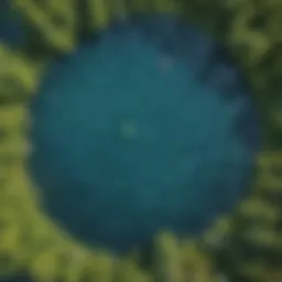 Aerial view of a vibrant giant floating mat in a serene lake