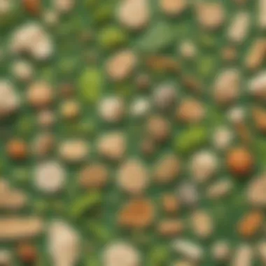Natural Materials in Green Works Toys Sustainable toys showcasing natural materials