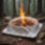 A campfire with hobo meals wrapped in foil