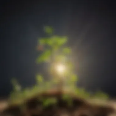 Illustration showcasing plant sprouting and reaching towards sunlight