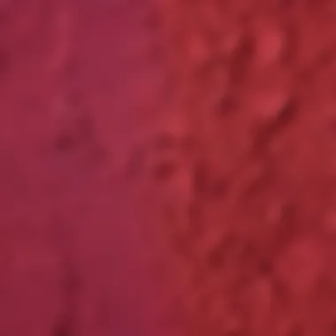 Colorful Beetroot Powder for Cake Decoration
