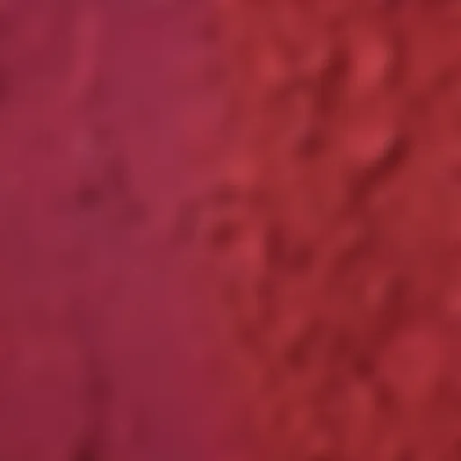 Colorful Beetroot Powder for Cake Decoration