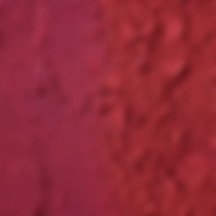 Colorful Beetroot Powder for Cake Decoration