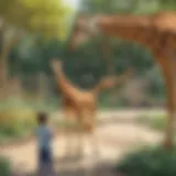 A young child observing a giraffe at the zoo with curiosity