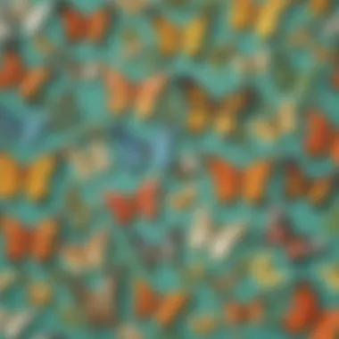 Nature-inspired Butterfly Collage Butterfly Nature Collage