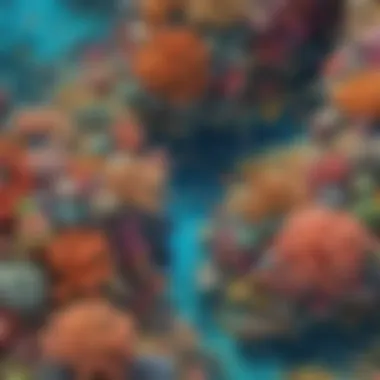 Vibrant Coral Reef A mesmerizing aerial view of a vibrant coral reef teeming with marine life