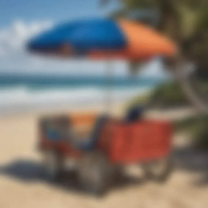 Notable Exploring the Benefits and Features of a Beach Wagon with Seat and Umbrella