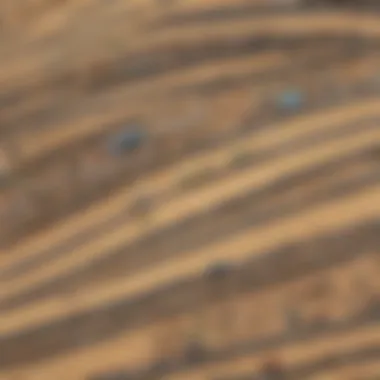 A historical timeline of toy car tracks