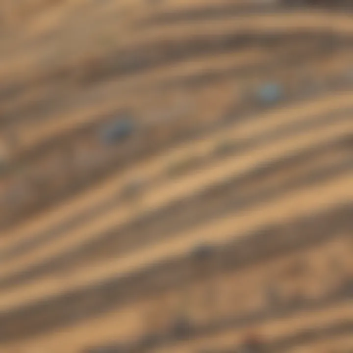 A historical timeline of toy car tracks