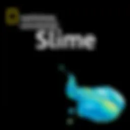 Exploring the National Geographic Slime Kit: A Comprehensive Overview Introduction