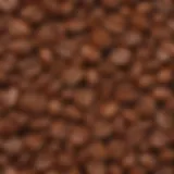 Aromatic Roasted Coffee Beans