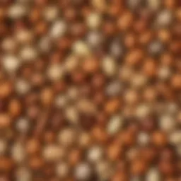 Exotic Nut Selection