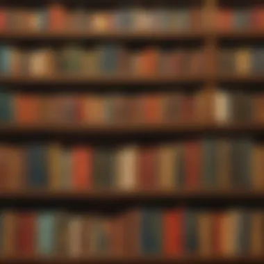Exquisite Bookshelf Display at Barnes and Noble